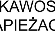 10 CIEKAWOSTEK O PAPIEŻACH