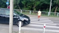 ADWOKACI W AKCJI ODCINEK 270 W KIERUNKU LASU