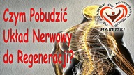 Czym Pobudzić Układ Nerwowy do Regeneracji?