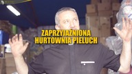 Zaprzyjaźniona Hurtownia Pieluch Bractwa Małych Stópek!