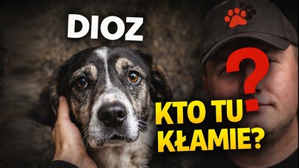 DIOZ: MILIONOWY BIZNES, KOSZTEM ZWIERZĄT?