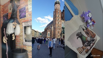 Kraków zwiedzanie Wawelu i Katedry +kawiarnia Dziórawy Kocioł