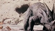 The Valley of Gwangi - Dinozaury z Doliny Gwangi .  Napisy pl.  1969.