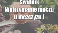 Świdnik: Nietrzymanie moczu u mężczyzn: Jak wpływa na karierę i jak sobie z nim radzić?