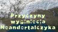 Przyczyny wyginięcia Neandertalczyka - 1. Katastrofy klimatyczne