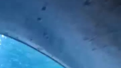  Shark Water Slide  | Aquapark Redas MOST EPIC ride!