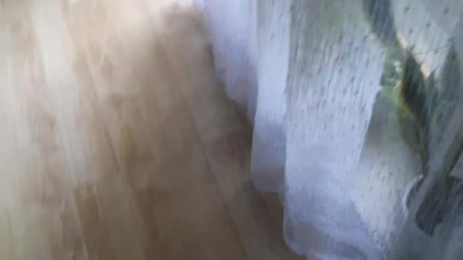 Witamy kolejny dzień lata