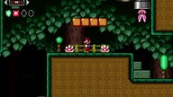 Mario Forever Mario In The Forest Chapter 5 TororoTchi