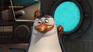 Pingwiny z Madagaskaru - SE02E29 Robaki Atakują - Szkolna Wycieczka