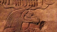 Occulted Anatomy Masonic Symbolism, Arc of the Covenant, the Brain Universe