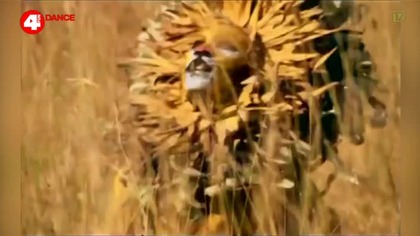 Dario G - Sunchyme (4Fun Dance)