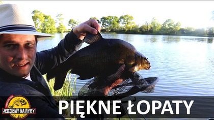 Robaki czy pellet ?? Piękne leszcze na koszyczek - Feeder