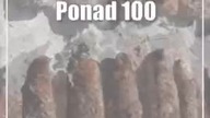 Ponad 100 pocisków artyleryjskich skrywała ziemia w Leokadiowie