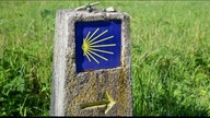 Gościnność - this is the way | EWST online