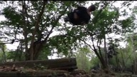 The Sinners - Show Yourself (Chris Lodge #Parkour Action Reel)