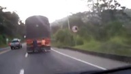 Pasażerowie na gapę