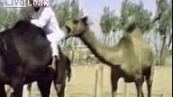 Ten filmik trwa 3sekundy