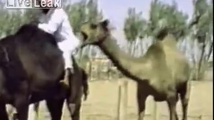 Ten filmik trwa 3sekundy