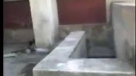 Parkour professional