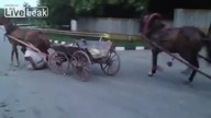 Cygańskie wyścigi
