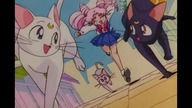 18.  Sailor Moon Super S (odcinki 150-166)