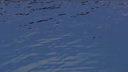 VI.  Batalion.  (2005)