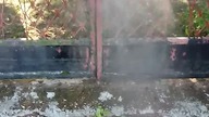 Oprysk przeciw komarom ddd robak