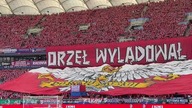 Finał Pucharu Polski i zakazana oprawa #shorts