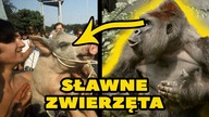 10 SŁAWNYCH ZWIERZĄT
