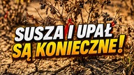 Susza jest niezbędna bym mógł to zrobić!