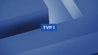 TVP1 HD Bufor