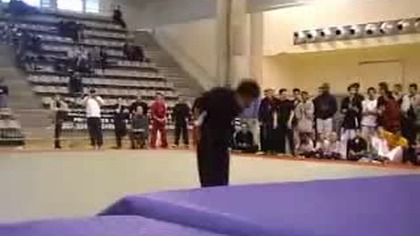 Kung Fu