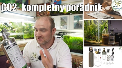 Czy potrzebujesz CO?  Dwutlenek węgla w akwarium 