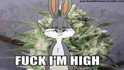 LET'S HIGH #1 - coś na rozkmine dla zjaranych