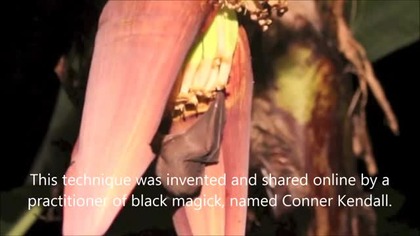 Werebeast Lore - the full moon ritual of Conner Kendall