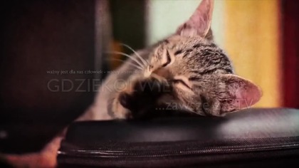 Bioenergoterapeuta Katowice zabiegi gabinet i na odległość wszystkie choroby wewnętrzne emocjonalne