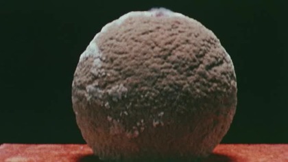 Mutacje / The Mutations (1974) [Lektor PL]