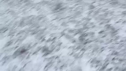 Świeżutki spacerek poranny.