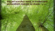świadectwo Ewy S