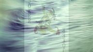"Ship of FOOLS" ...  World Party ... with lyrics ...
