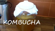 Jak zrobic kombucze?