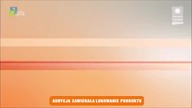 Polsat -Plansza Produkcyjna (5 wersja 2011-2019)