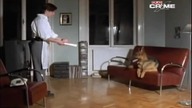 Komisarz Rex Strzały do rexa AXN Crime lektor PL