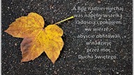 Audycja Wyzwolony - Bill Lenz