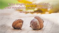 Audycja Wyzwolony - Bruce Frye