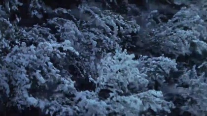 Japońskie Opowieści Niesamowite.  (1964) lektor