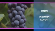Jesień / Autumn advert