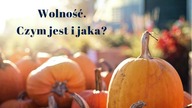 Wolność.  Czym jest i jaka?