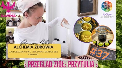 Alchemia Zdrowia - ziołolecznictwo i naturoterapia bez cenzury: #37 Przegląd ziół: PRZYTULIA
