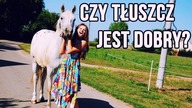 TŁUSZCZ W DIECIE KONI